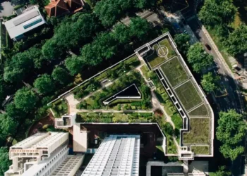 Cubrir de vegetación los colegios podría bajar la temperatura en las aulas hasta 6 grados