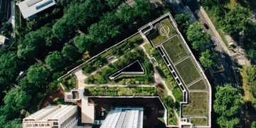 Cubrir de vegetación los colegios podría bajar la temperatura en las aulas hasta 6 grados