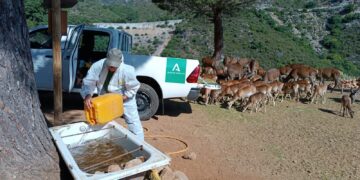 La Junta destina cerca de 30.000 euros al bienestar de los animales de la reserva de Ojén