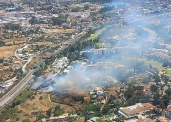 Controlado el incendio en La Quinta, Marbella