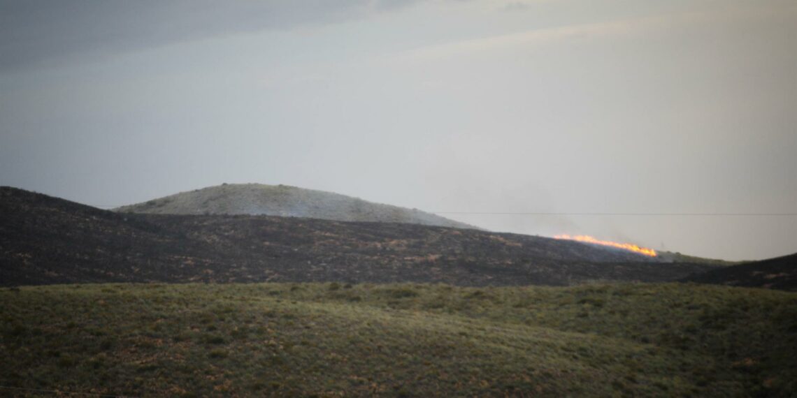 Andalucía constata más hectáreas quemadas en siniestros forestales este año respecto a 2023 pero dentro de «lo normal»