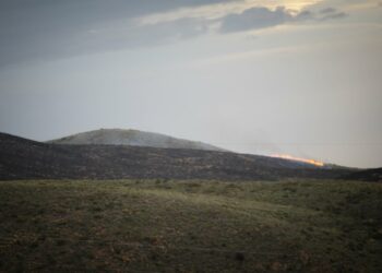 Andalucía constata más hectáreas quemadas en siniestros forestales este año respecto a 2023 pero dentro de «lo normal»