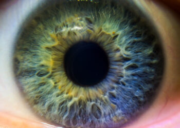 Una córnea artificial logra devolver la vista a personas invidentes