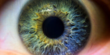 Una córnea artificial logra devolver la vista a personas invidentes