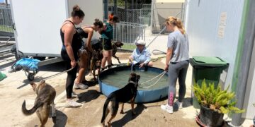 Marbella renueva el convenio de colaboración con la protectora Triple A