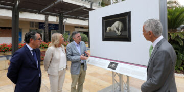 La exposición ‘El Prado en las Calles’ amplía su estancia en Marbella hasta el próximo 11 agosto
