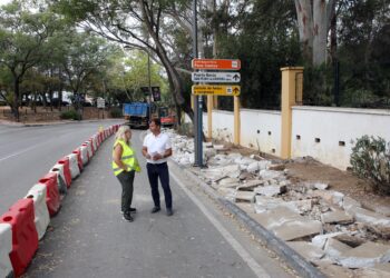 Comienza la remodelación y modernización de la avenida Cánovas del Castillo