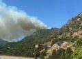 Comienzan los primeros desalojos a causa del incendio en la Sierra Crestellina de Casares