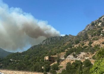 Comienzan los primeros desalojos a causa del incendio en la Sierra Crestellina de Casares
