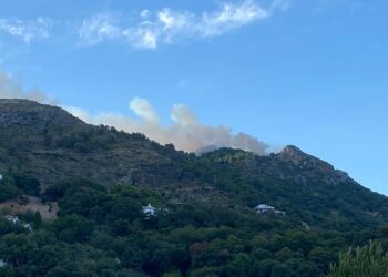 Extinguido el incendio de Casares tras afectar inicialmente a unas 25 hectáreas