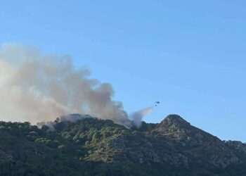 Continúa activo el incendio en Casares, el más cruento de la temporada