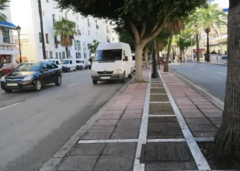 Falsa alarma: la Policía confirma que el tiroteo que investigaba en Marbella no ha ocurrido