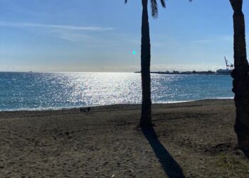 Las aguas de baño de las playas andaluzas se encuentran en niveles de calidad adecuados