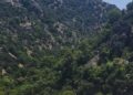 El próximo lunes comienzan en Benahavís las obras de estabilización de taludes en la A-7175