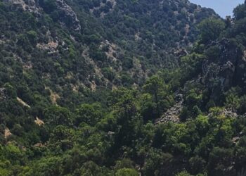 El próximo lunes comienzan en Benahavís las obras de estabilización de taludes en la A-7175