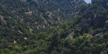 El próximo lunes comienzan en Benahavís las obras de estabilización de taludes en la A-7175