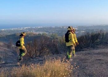 Controlado el incendio de Marbella, que afecta a 44,9 hectáreas de pasto y matorral