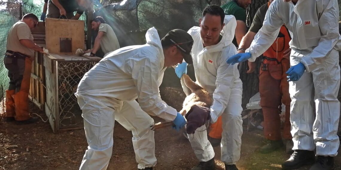 La Junta inicia un plan de acción para el control sanitario en la reserva de Ojén