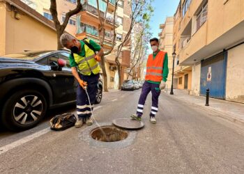El Ayuntamiento de Fuengirola intensifica las labores de desinsectación ante el aumento de las temperaturas