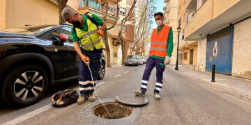 El Ayuntamiento de Fuengirola intensifica las labores de desinsectación ante el aumento de las temperaturas