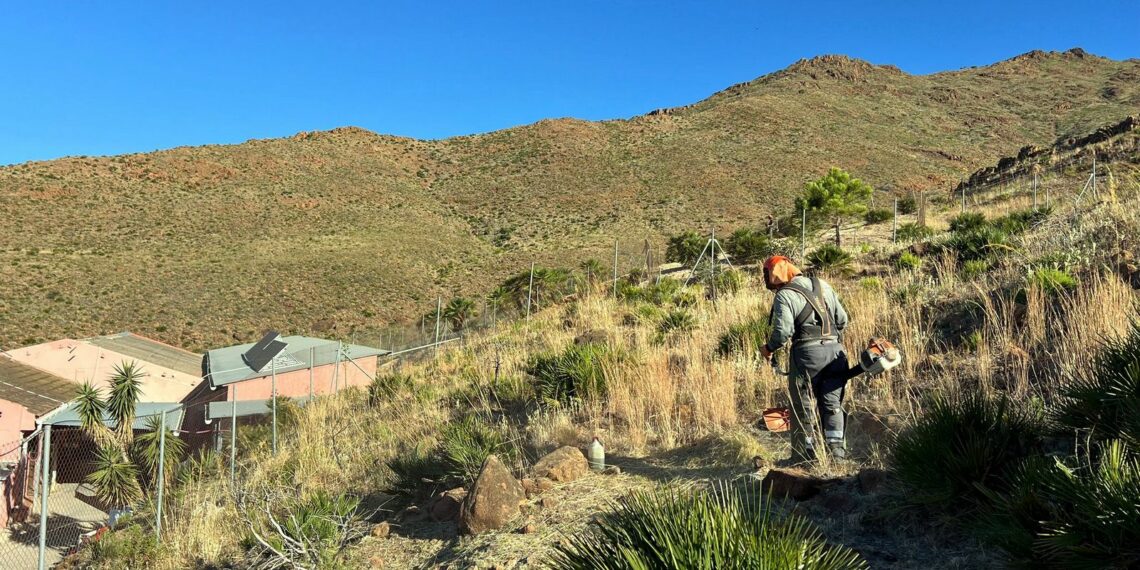Estepona realiza la limpieza y desbroce de 94 kilómetros de caminos rurales y parcelas para prevenir incendios forestales