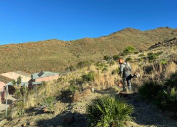 Estepona realiza la limpieza y desbroce de 94 kilómetros de caminos rurales y parcelas para prevenir incendios forestales