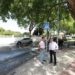 Reforzada la seguridad vial en la avenida Virgen del Rocío con nueve pasos de peatones inteligentes y la mejora de la iluminación