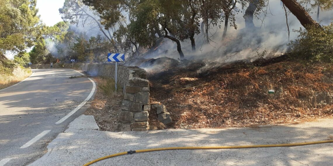 El incendio en el paraje Arroyo Hondo de Casares, ya extinguido, no superó una hectárea afectada