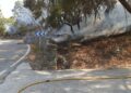 El incendio en el paraje Arroyo Hondo de Casares, ya extinguido, no superó una hectárea afectada