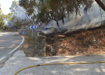 El incendio en el paraje Arroyo Hondo de Casares, ya extinguido, no superó una hectárea afectada