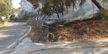 El incendio en el paraje Arroyo Hondo de Casares, ya extinguido, no superó una hectárea afectada