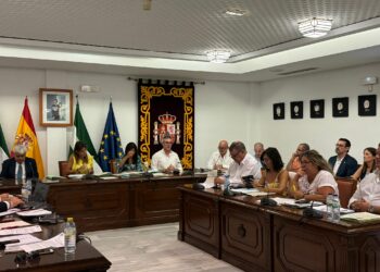 El pleno aprueba una nueva ordenanza municipal de tráfico y circulación de Mijas