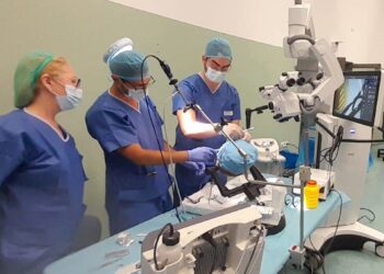 El SAS ofrece desde este miércoles a los MIR de último curso terminar en otro centro para afrontar el déficit del verano