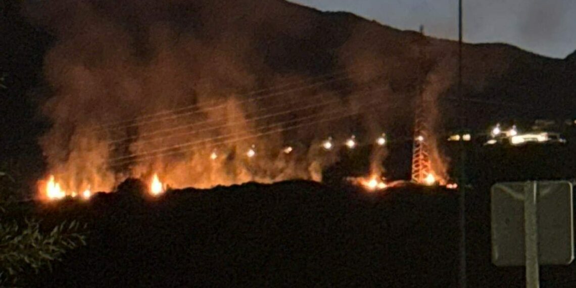 Declarado un incendio en Marbella en la zona de Altos de los Monteros