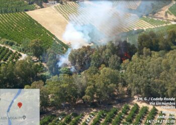 Declarado un nuevo incendio forestal en Casares