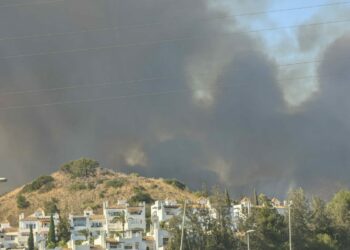 Más de un centenar de efectivos trabajan en el incendio en Marbella que evoluciona favorablemente