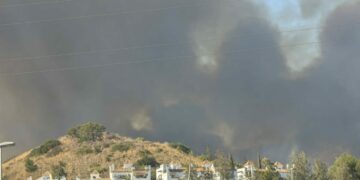 Más de un centenar de efectivos trabajan en el incendio en Marbella que evoluciona favorablemente