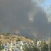Más de un centenar de efectivos trabajan en el incendio en Marbella que evoluciona favorablemente