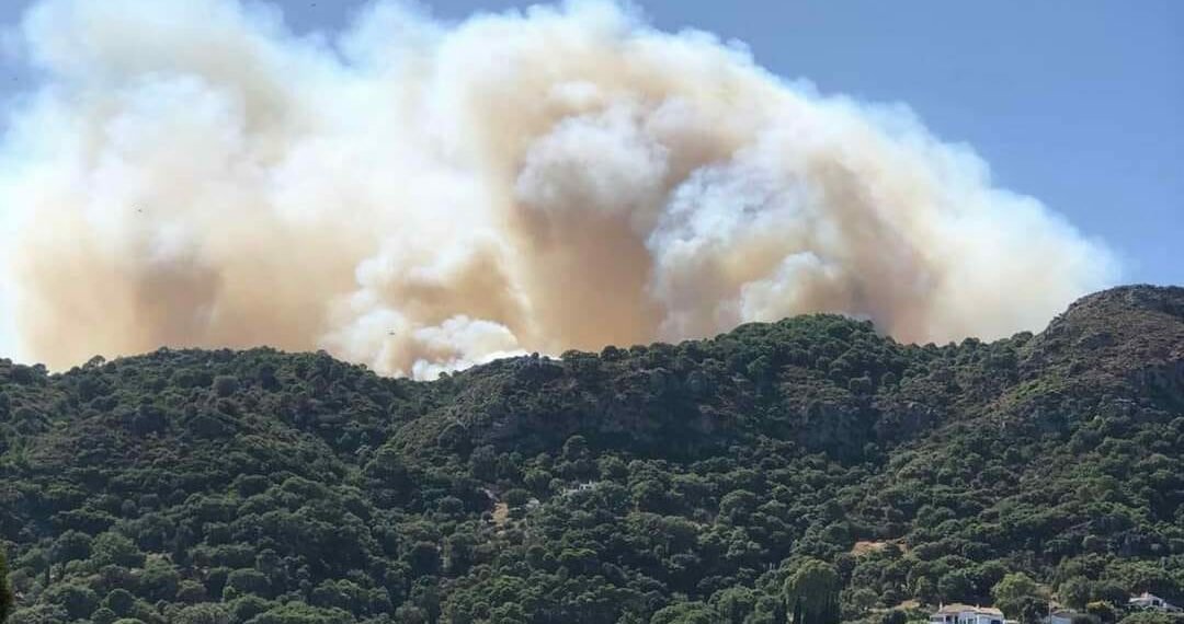 El fuego que no cesa: nuevo incendio forestal en Casares
