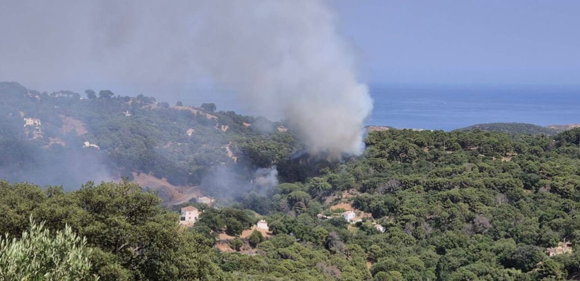 Detenido un presunto sospechoso de provocar un incendio forestal en Arroyo Hondo, Casares