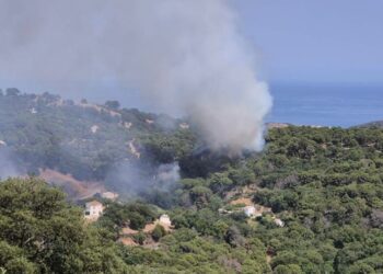 Detenido un presunto sospechoso de provocar un incendio forestal en Arroyo Hondo, Casares