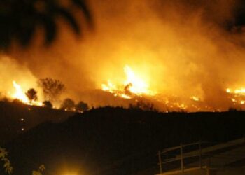 Detenido un hombre en Málaga como presunto autor de un incendio intencionado de monte en La Virreina