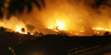 Detenido un hombre en Málaga como presunto autor de un incendio intencionado de monte en La Virreina