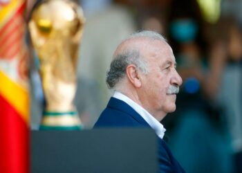 Vicente del Bosque, primera Medalla de Honor de la  Mancomunidad
