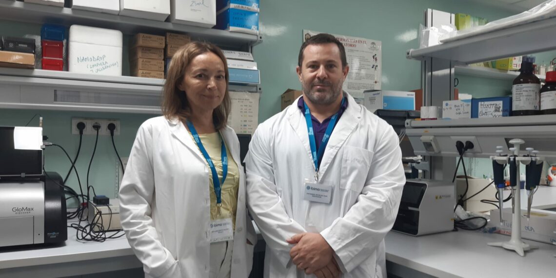 IBIMA, el Hospital Regional y la UMA publican avances significativos en el tratamiento de la esteatohepatitis metabólica