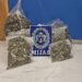 Detenido en Mijas un hombre con 18 kilos de marihuana en su vehículo