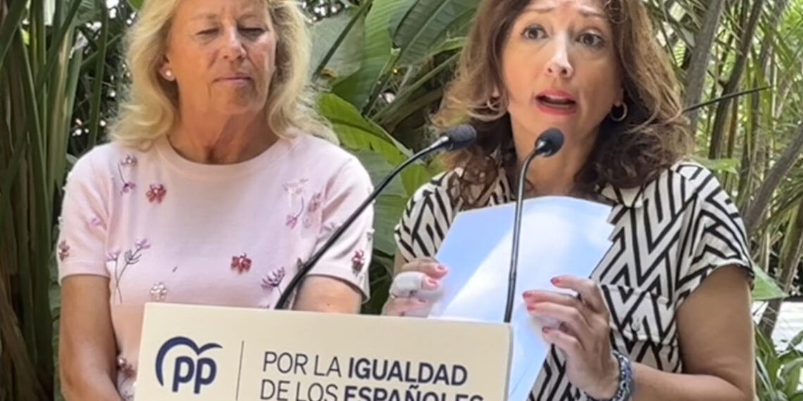 Navarro: «En Málaga está el epicentro del caos ferroviario que sufre España desde que gobierna Sánchez»