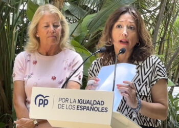 Navarro: «En Málaga está el epicentro del caos ferroviario que sufre España desde que gobierna Sánchez»