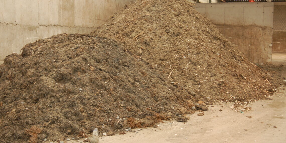 La Mancomunidad recupera más de 7.200 toneladas de algas entre abril y julio