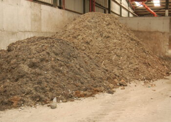 La Mancomunidad recupera más de 7.200 toneladas de algas entre abril y julio